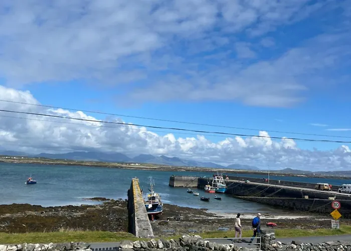 Проживание в семье Pier View House Балликоннили